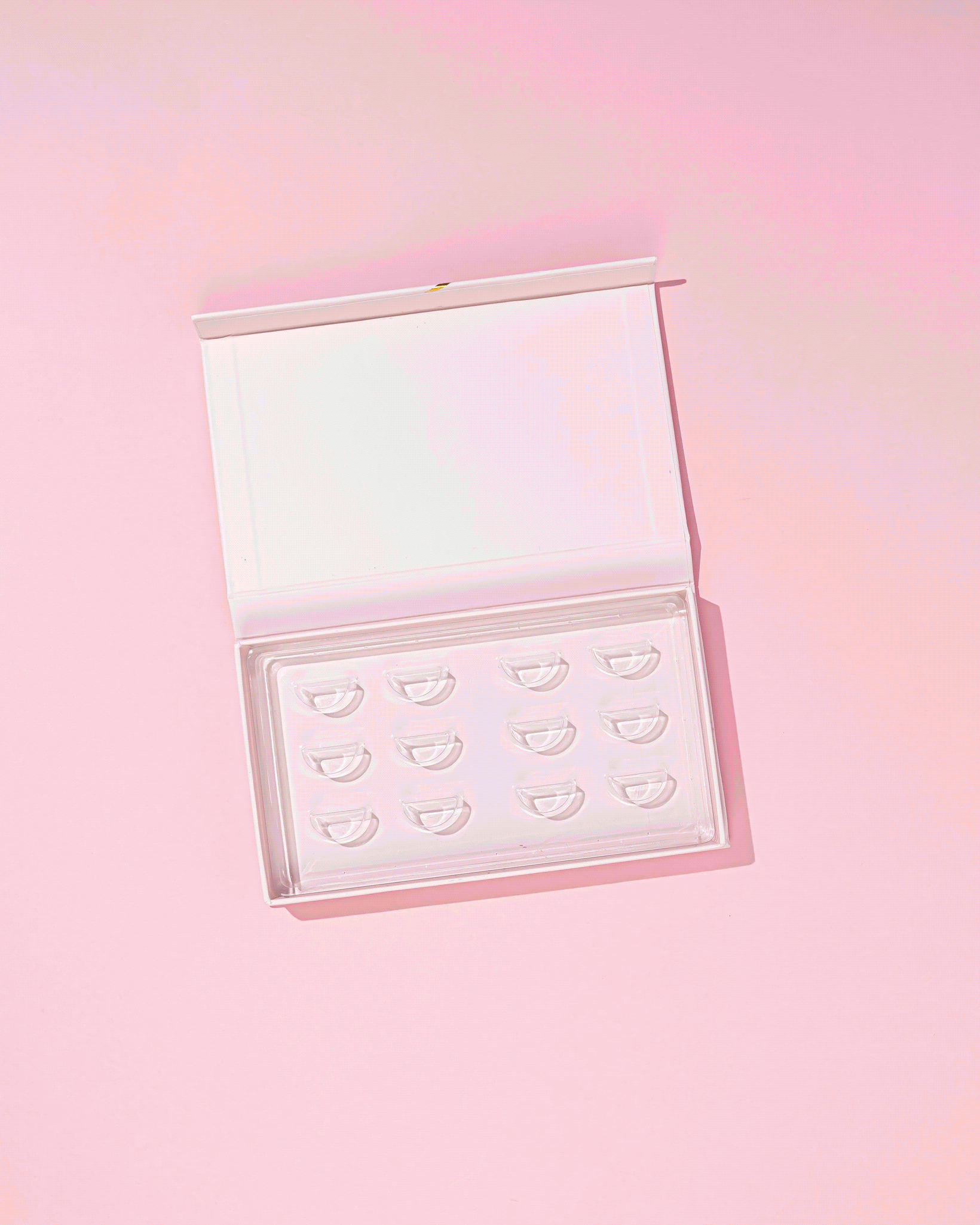 Lash Palette